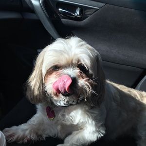 Meet your Posher, Morganne